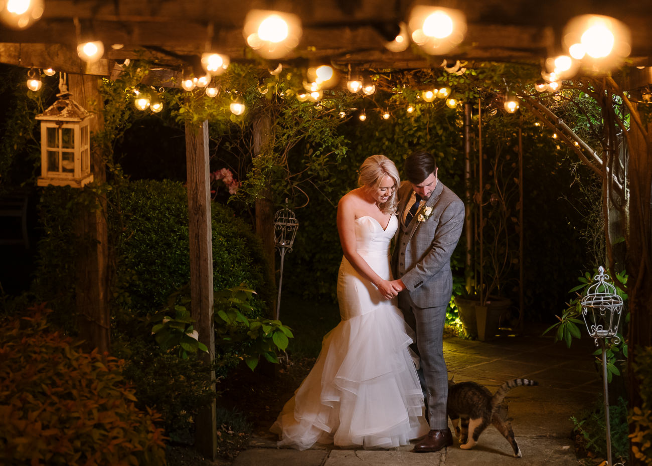 Bride and groom under the festoon lights being welcomed by the cat at Russets